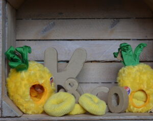 Ananas Tropical Paradise, PET P.L.A.Y