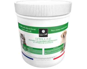 Spiruline - poudre