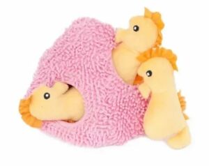 Burrow - Hippocampe