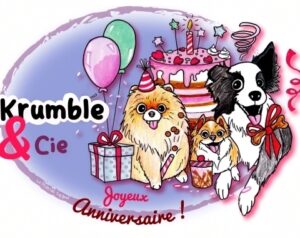 Box surprise - spéciale anniversaire