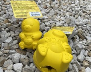 Honey Bear - Sodapup – Image 2